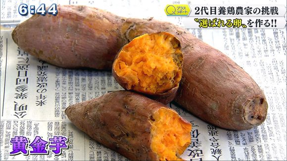 "選ばれる卵"を目指して 2代目養鶏農家の挑戦!