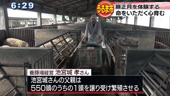 「豚正月体験会」~豚に感謝~