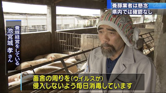 豚コレラ 養豚業者も懸念
