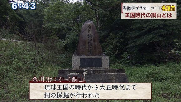 お散歩プラス 名護編 後半