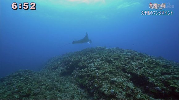 楽園の海 地形を堪能するポイントなのに…