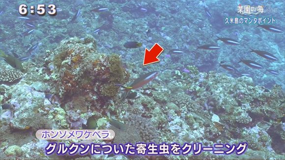 楽園の海 地形を堪能するポイントなのに…