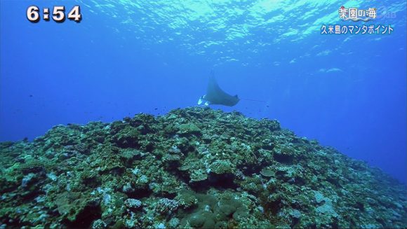 楽園の海 地形を堪能するポイントなのに…