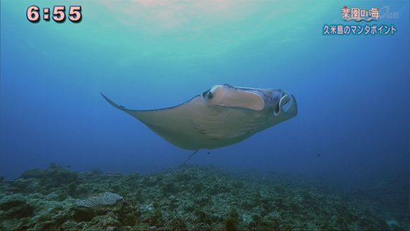 楽園の海 地形を堪能するポイントなのに…
