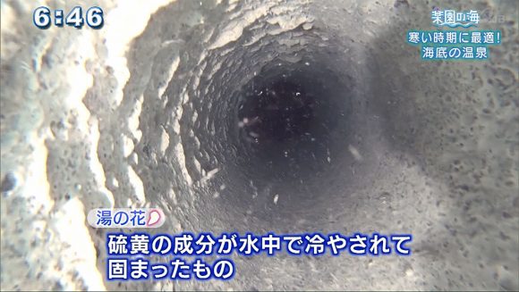 楽園の海 寒い時期に最適!海底の○○
