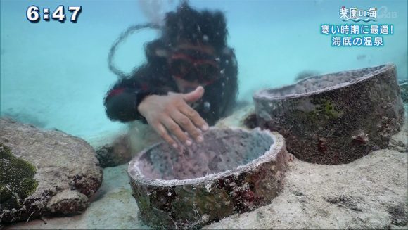 楽園の海 寒い時期に最適!海底の○○