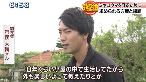 天然記念物ミヤコウマを守るために、求められる方策と課題