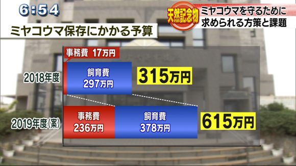 天然記念物ミヤコウマを守るために、求められる方策と課題