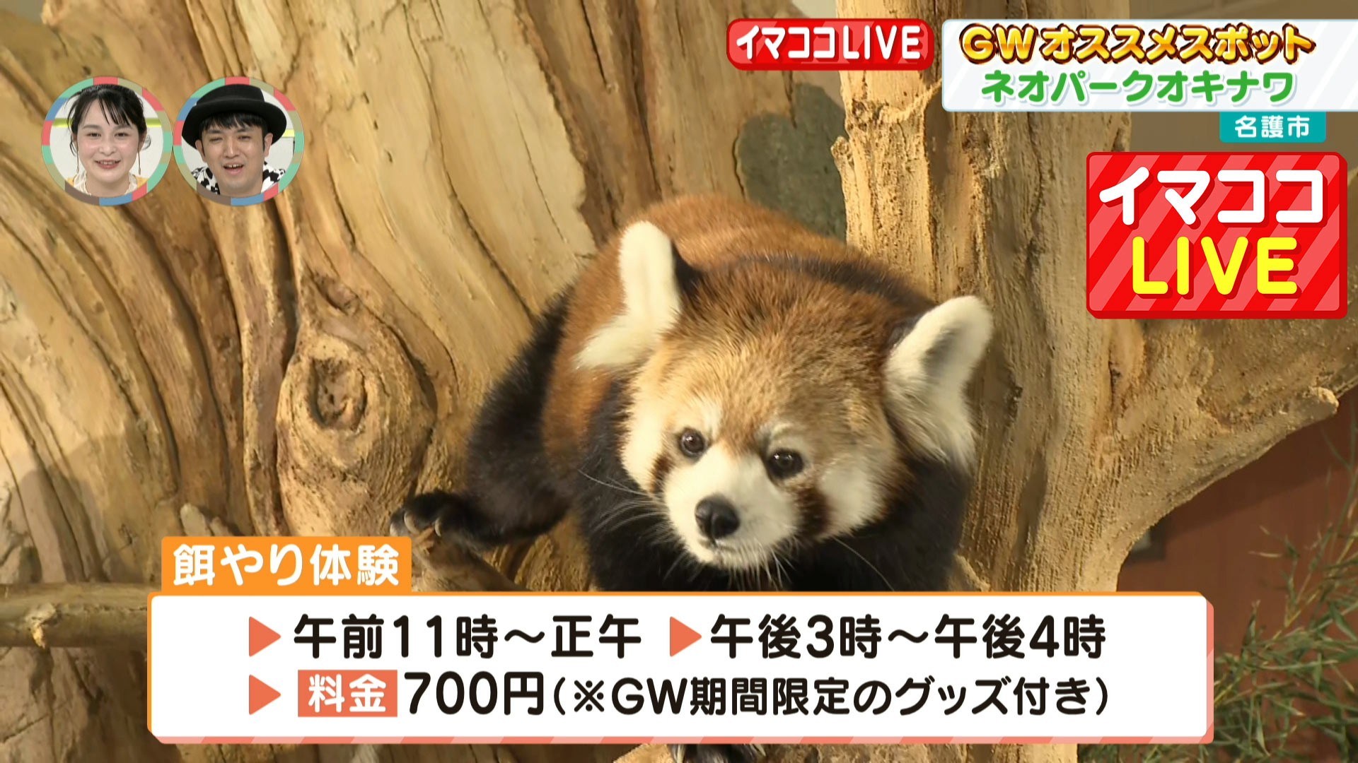 ネオパークオキナワ