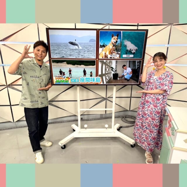 ＼今日のCATCHY／

『30離島再発見！トレジャーアイランド』🌊🌺
第18回は座間味島編をお届け！
今回のミッションは「島の人気者(ヒーロー)に遭いたい！」🧭
戸田アナはどんな人気者に出会えたのでしょうか!?
次回は慶留間島と阿嘉島編!お楽しみに！🏝

#イマココlive はイーアス沖縄豊崎へ📹
イーアス沖縄豊崎は5周年を記念して、周年セールを開催中🎉
ゴルフ用品ショップ⛳のPGA tour SUPERSTOREではゴルフレッスンを無料で体験することができるイベントを開催！
また、メガネショップ👓のJINSでは9900円以上のお買い上げで5%OFFを実施中です👏
ほかにもお得なイベントが盛りだくさんなので、この機会にぜひお見逃しなく♬

見逃し配信サイト
「Quebee/キュエビー」からも見ることができますよ〜📱💯
みなさんチェックしてみてくださいね!🔍

月～金曜16:15～生放送！ぜひ見てね👀

･････････････････････････････････････････
『今より“ちょっとだけ”よくなる』情報をお届け
あなたの生活により添った、
手が届きそうなシアワセ、情報、知しきを
@cathy.qab
･････････････････････････････････････････

#okinawa #qab #沖縄 #catchy
#視聴者プレゼント #沖縄タイムス #海勢頭豊 #でいご娘 #コンサート #ペアチケット #GAMA月桃の花 #映画 #トレジャーアイランド #30周年 #座間味島 #イーアス沖縄豊崎 #PGA #ゴルフ #JINS #メガネ