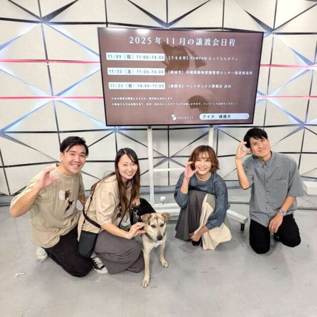 ＼11/3㈪のCATCHY／

アンリッスン👂コーナーのゲストは、NPO法人is(アイズ)の松尾真弘さんと松尾ななこさん、そして保護犬のサンくん！✨
県内の犬の保護団体として人も犬も幸せな未来を目指して活動しているとのこと!!🐶
代表者の松尾さんに、団体を立ち上げたきっかけや活動内容について教えてもらいました🎤
譲渡会の情報など、詳しくは公式Instagramをチェック✔

#イマココlive は那覇市牧志の「ちゃんぷる～フェスティバル2025秋」へ📹
県内外からクラフト酒が大集合❕
お酒とグルメがちゃんぷる～するフェスの盛り上がりを仲本くんがリポートしました🍻

見逃し配信サイト
「Quebee/キュエビー」からも見ることができますよ〜📱💯
みなさんチェックしてみてくださいね！🔍

CATCHYは月～金曜16:15～生放送！ぜひ見てね👀

･････････････････････････････････････････
『今より“ちょっとだけ”よくなる』情報をお届け
あなたの生活により添った、
手が届きそうなシアワセ、情報、知しきを
@cathy.qab
･････････････････････････････････････････

#okinawa #qab #沖縄 #catchy
#視聴者プレゼント #沖縄県立博物館美術館 #戦災文化財 #ペアチケット #NPO法人is #保護犬 #譲渡会 #ちゃんぷるーフェスティバル2025秋 #お酒 #クラフト酒 #グルメ