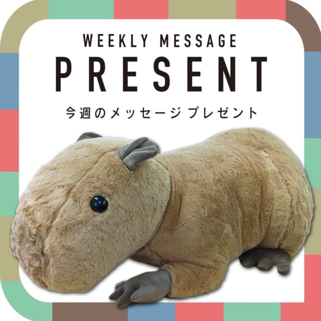 🎁CATCHY来週の視聴者プレゼント🎁

ネオパークおきなわ「BIG！カピバラぬいぐるみ」1名様
@neoparkokinawa 

"CATCHYホームページ"よりご応募ください!
メッセージテーマは『私の困りごと』✉
皆さんのお便りお寄せください😆
お待ちしてまーす💛💛

･････････････････････････････････････････
『今より“ちょっとだけ”よくなる』情報をお届け
あなたの生活により添った、
手が届きそうなシアワセ、情報、知しきを
@catchy.qab
･････････････････････････････････････････

#okinawa #qab #沖縄 #catchy #視聴者プレゼント