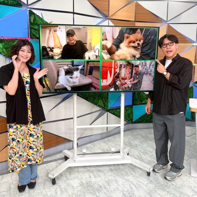 ＼今日のCATCHY／

おさんポっポ🐾のコーナーは先週に引き続き『平和通り編・
後編』！✨
平和通りで出会った占い師さん🔮の助言で、平和通りの近くの「八軒通り」もお散歩することに♬
すると“古着屋はつ子”で気になる出来事に遭遇！そこからMCのお2人にクイズを出題✍

Q.3日ぶりにお店を開けに来たはつ子さんが
お店を開けられずにいる理由とは？🐦

#イマココlive はSUPERライブマーケット🛒
今日は豊崎りうぼうへ🎦
店長推しグルメコーナーから
🍊「まるしぼりみかんジュース」
🟢「塩シークヮーサーゼリー」

惣菜コーナーから
🍗「鶏肉と彩り野菜の揚げびたし」
がおすすめ商品！✨

りうぼうストアは夏ギフトも予約受付中♬
夏にぴったりの贈り物を見つけてみては!?🎐

見逃し配信サイト
「Quebee/キュエビー」「QAB公式YouTube」からも見ることができますよ〜📱💯
みなさんチェックしてみてくださいね！🔍

CATCHYは月～金曜16:15～生放送！ぜひ見てね👀

･････････････････････････････････････････
『今より“ちょっとだけ”よくなる』情報をお届け
あなたの生活により添った、
手が届きそうなシアワセ、情報、知しきを
@cathy.qab
･････････････････････････････････････････

#okinawa #qab #沖縄 #catchy