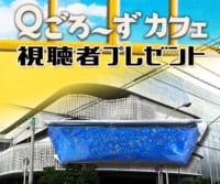 Ｑごろ〜ずカフェ「ペンケース」視聴者プレゼント