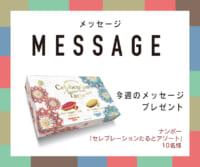 CATCHY プレゼント登録フォーム