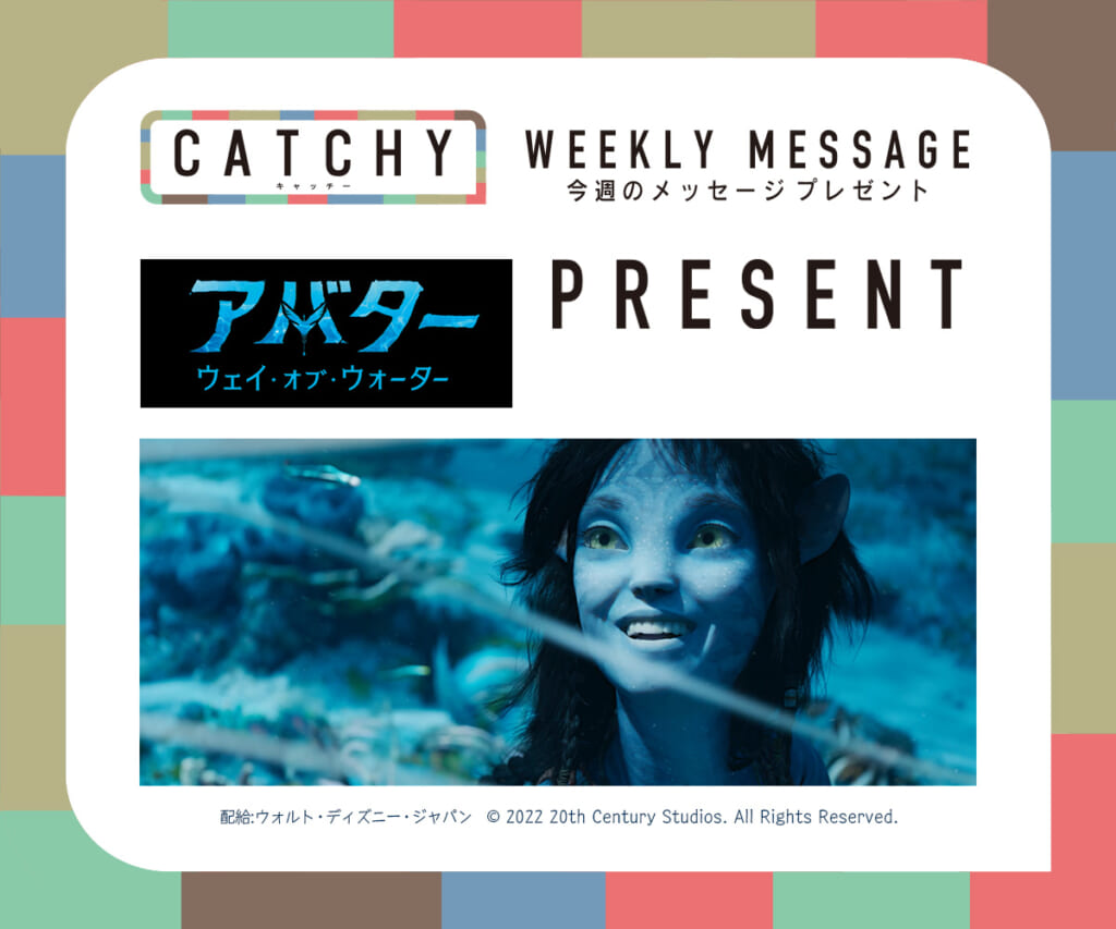 CATCHY 12月第3週 メッセージプレゼント