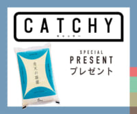 CATCHY「青天の霹靂」視聴者プレゼント