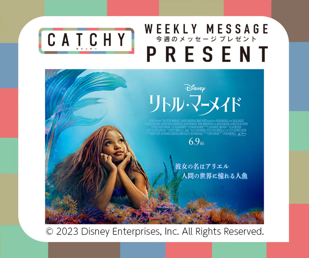 CATCHY 5月第5週 / 6月第1週 メッセージプレゼント