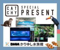 CATCHY「DMMかりゆし水族館」入場チケットプレゼント