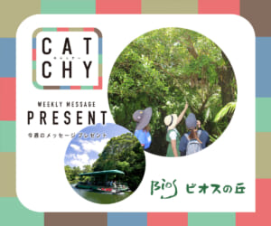 5月第5週メッセージプレゼント