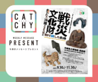 11月第2週メッセージプレゼント