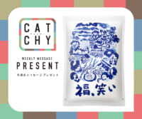 CATCHY 12月第3週メッセージプレゼント