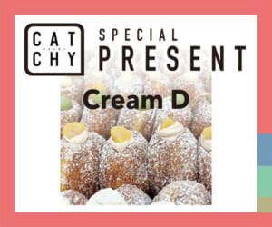 CATCHY「生ドーナツ」視聴者プレゼント