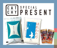 ｢青森県フェア」視聴者プレゼント