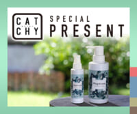 【Hugarasa（フガラサ）】ギフトセットBOXプレゼント