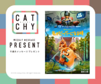 CATCHY 3月第1週メッセージプレゼント