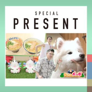 CATCHY　おさんポっポ 特別編 視聴者プレゼント