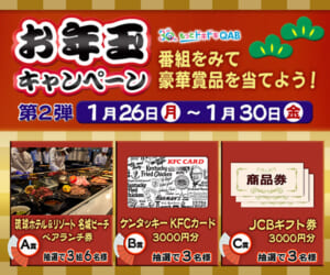 お年玉キャンペーン第2弾