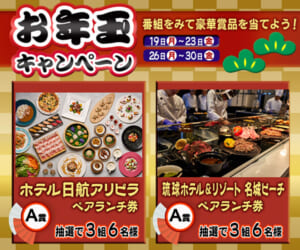 お年玉キャンペーン