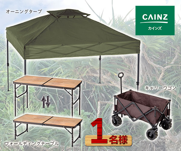 CAINZ オーニング3点セット