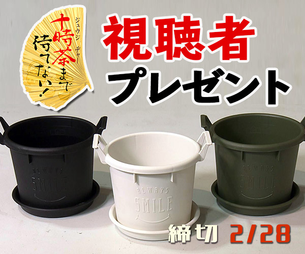 十時茶まで待てない！「プラスチック鉢3種類」プレゼント