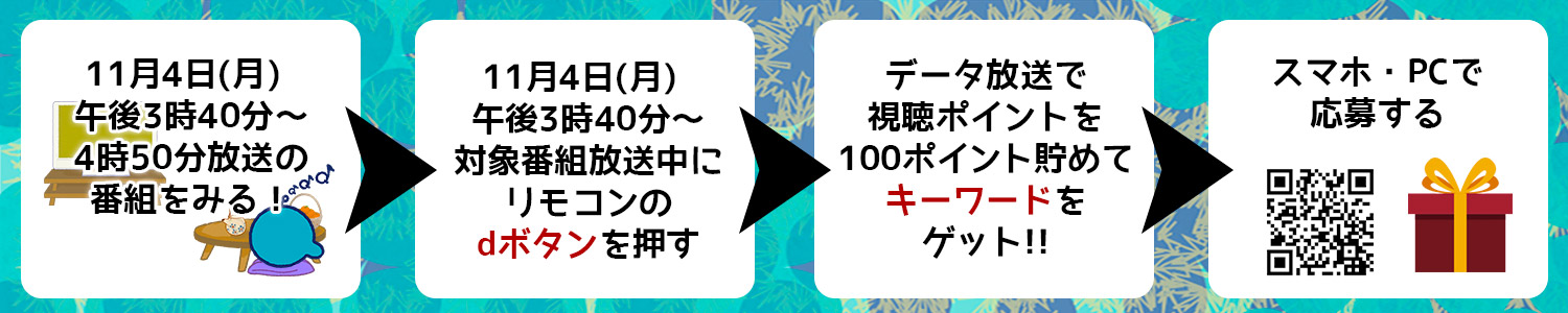 Ｑごろ〜からの贈り物「サンリオカーニバル」視聴者プレゼントについて