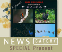 ニュース CATHY「世界自然遺産やんばるカレンダー」プレゼント