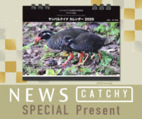 ニュース CATHY「カレンダー」プレゼント
