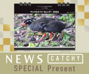 ニュース CATHY「カレンダー」プレゼント