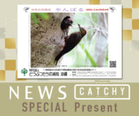 ニュース CATHY「カレンダー」プレゼント