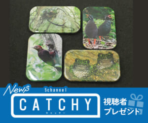 ニュース CATCHY「缶バッジセット」プレゼント