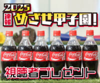2025速報 めざせ甲子園！視聴者プレゼント