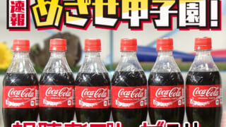 sokuho-present2025-320x180.jpg