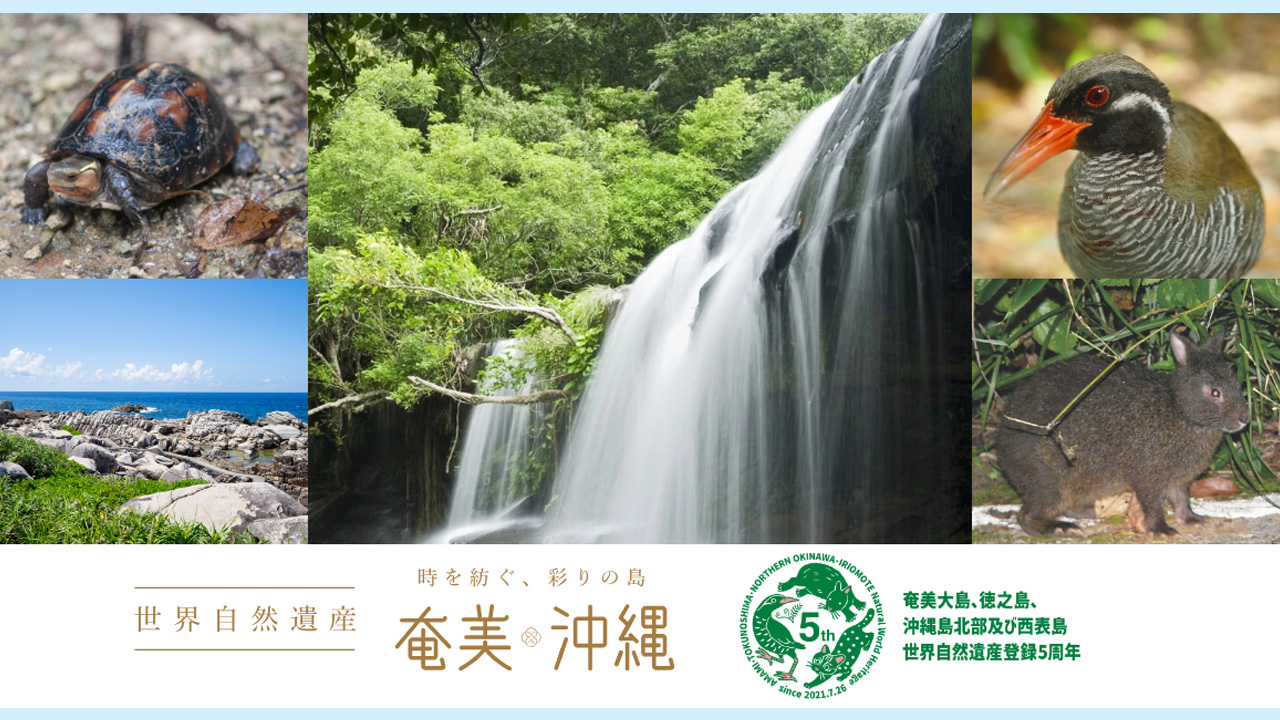 世界自然遺産登録5周年記念展