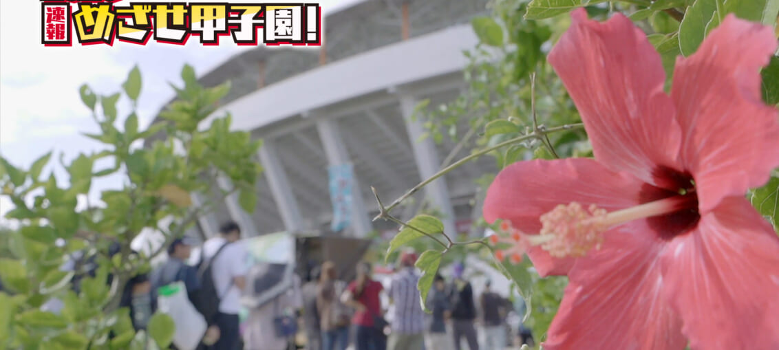 最終回 オープニング