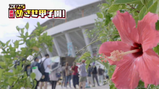 最終回 オープニング