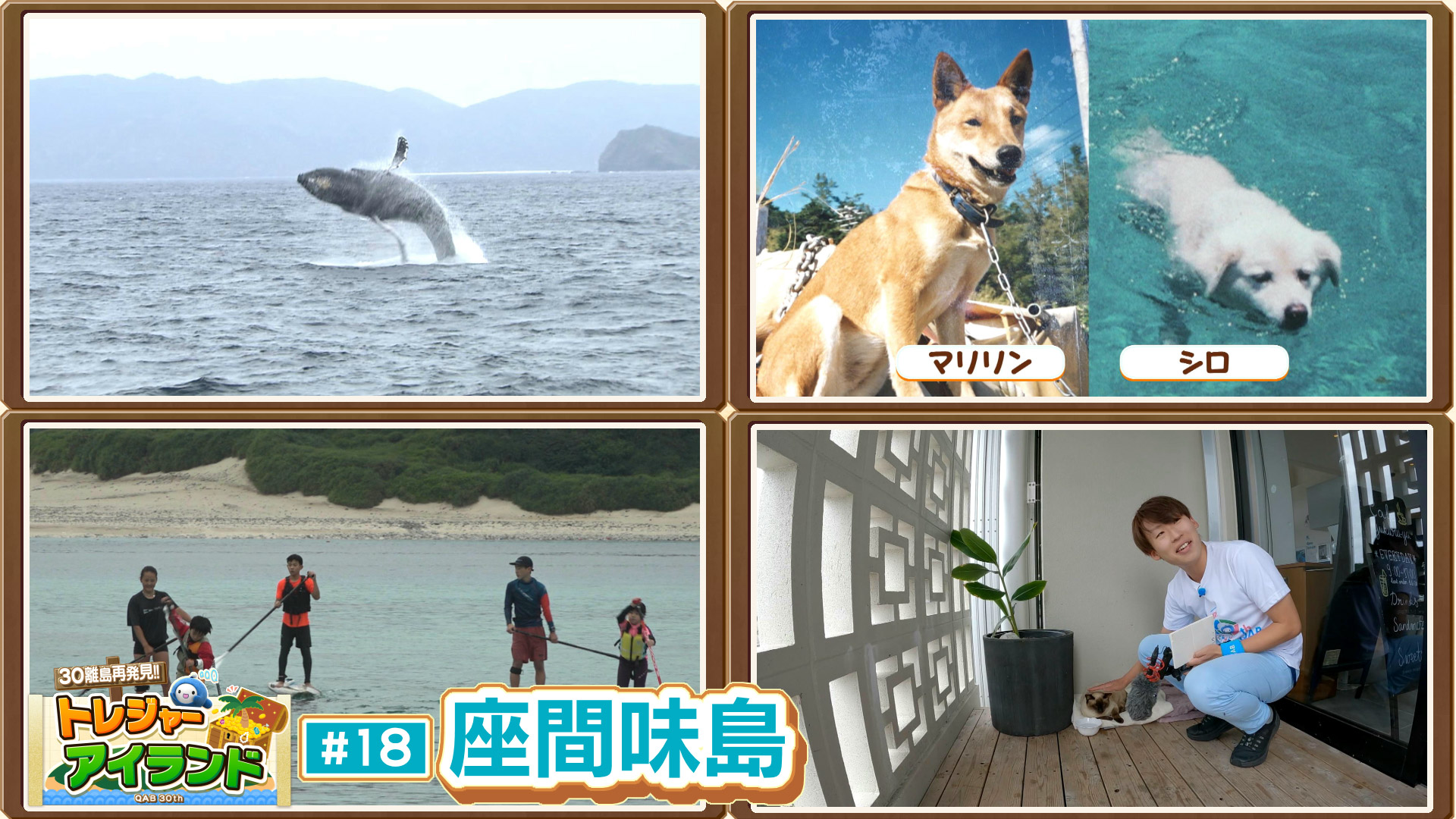 座間味島