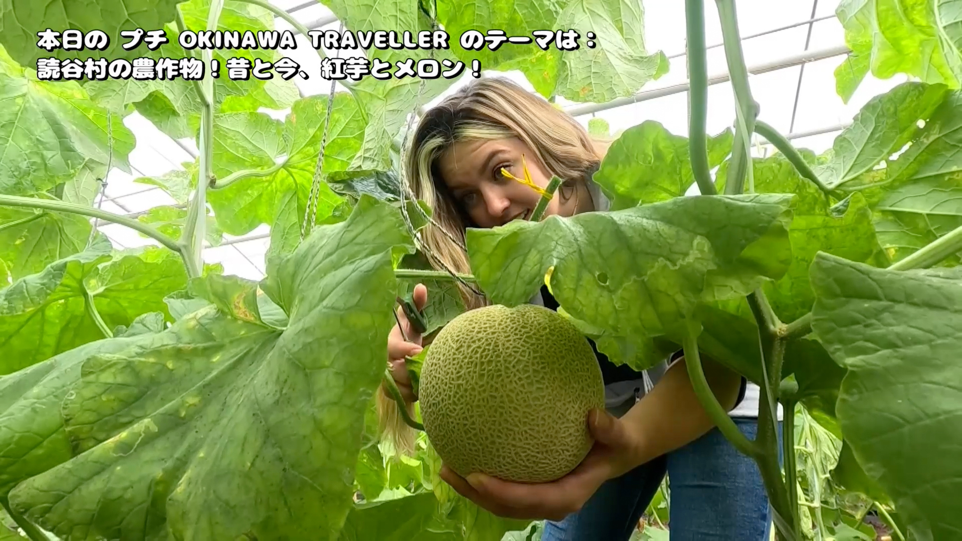 #13「プチOKINAWA TRAVELLER」