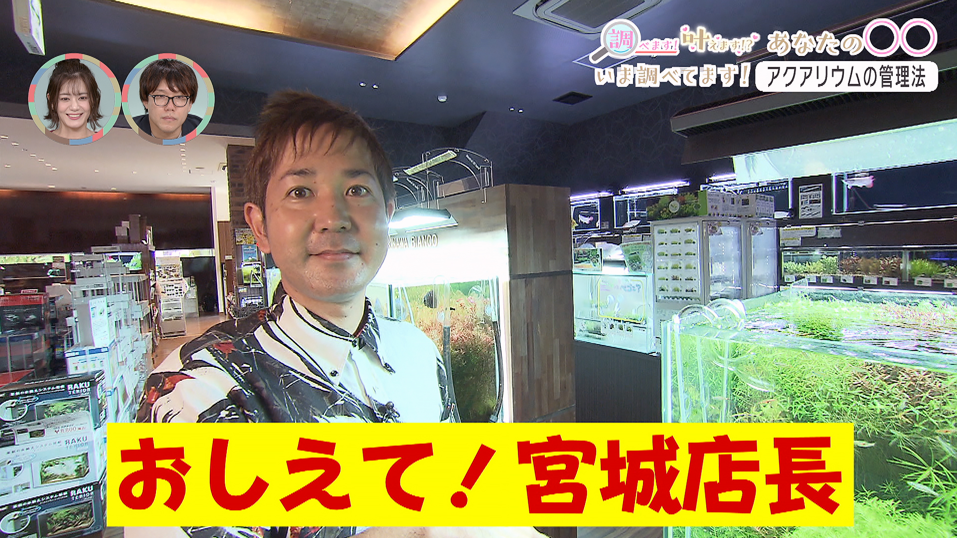 #16 いま調べてます！「アクアリウムの管理法」