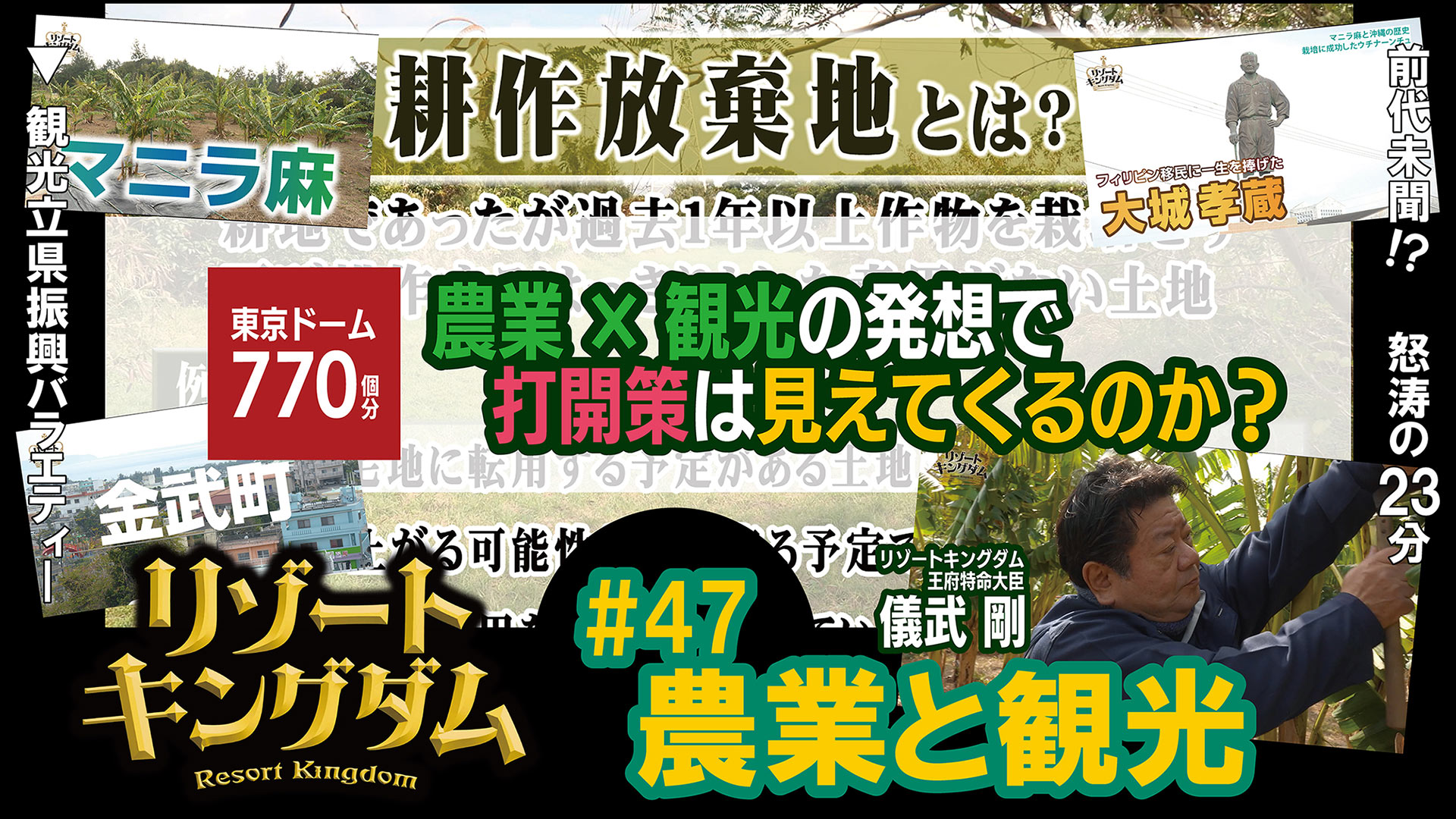 農業と観光